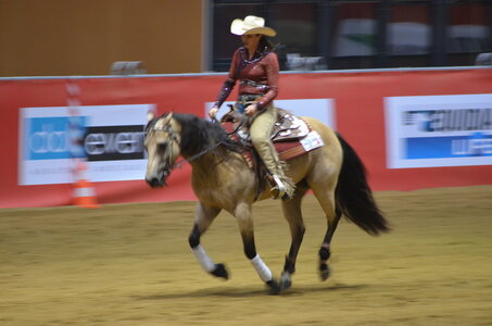 Dressage Lyon, DSC_3419