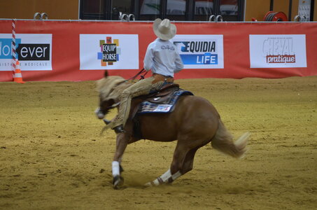 Dressage Lyon, DSC_3427