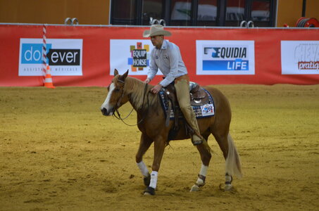 Dressage Lyon, DSC_3429