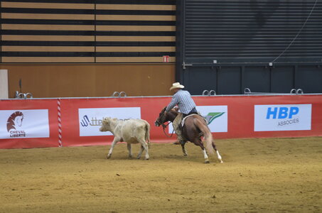 Dressage Lyon, DSC_3448