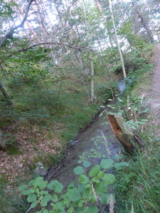 2021 09 07 Manse Boucle des Gorges, 2021_09_07 Manse Boucle des Gorges107