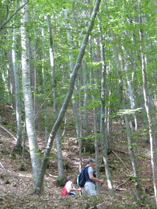 2021 09 07 Manse Boucle des Gorges, 2021_09_07 Manse Boucle des Gorges110