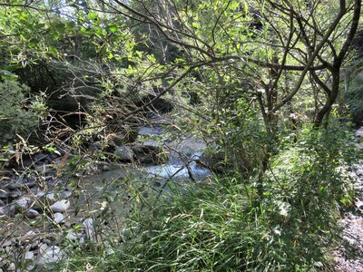 Manse: boucle des canaux, IMG_7464