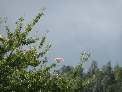 Dimanche 12 septembre après midi, IMG_1030