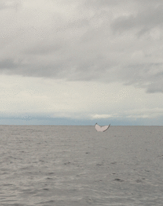 Panama, DSC01387