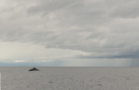 Panama, DSC01380