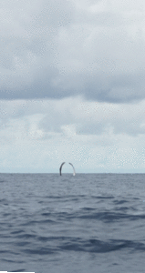 Panama, DSC01367