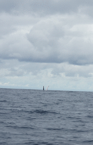 Panama, DSC01363