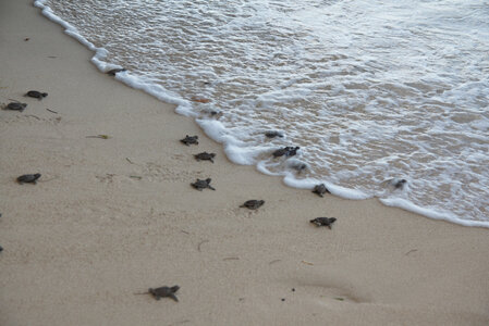 Panama, DSC01540