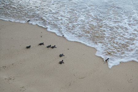 Panama, DSC01539