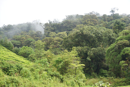 Panama, DSC01512