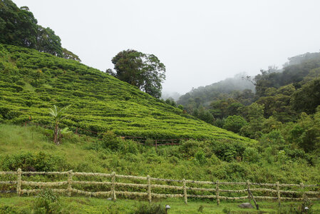 Panama, DSC01511