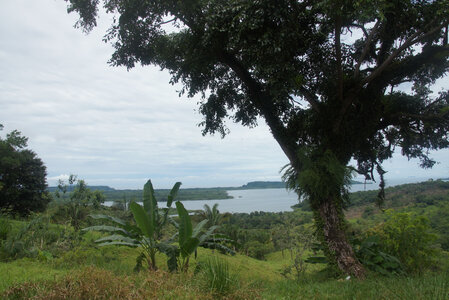 Panama, DSC01508