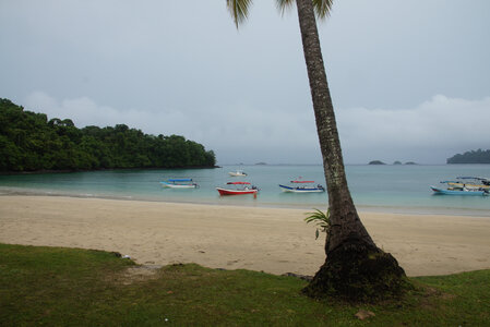 Panama, DSC01488