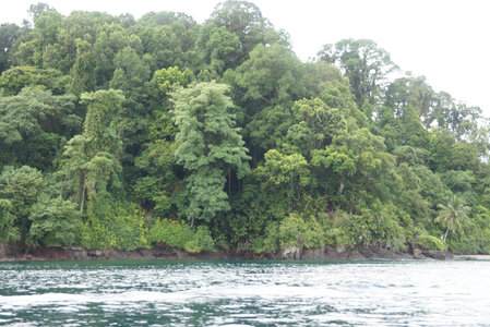 Panama, DSC01484