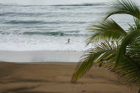 Panama, DSC01402