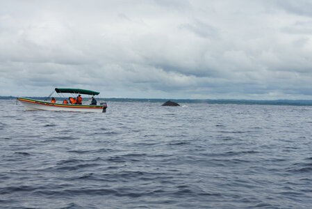 Panama, DSC01333