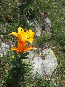 Soreiller22.1, P6190335