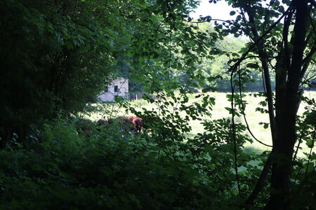 20210616 Grande boucle entre Maidières et la Petite Suisse Lorraine, 2253 Moulin Guibin