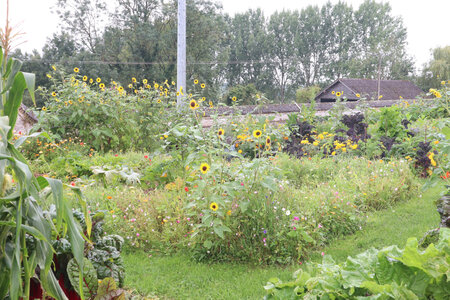 20210821 Montreuil sur Mer, 2393 Chartreuse de Neuville, les jardins