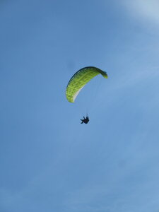 Sortie Vosges du Sud 2021, IMG_1220
