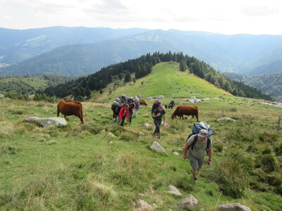 Sortie Vosges du Sud 2021, IMG_1173