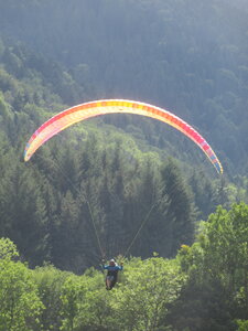Sortie Vosges du Sud 2021, IMG_1152