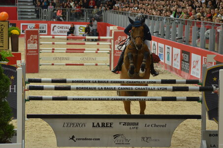 Obstacle Lyon, DSC_3511