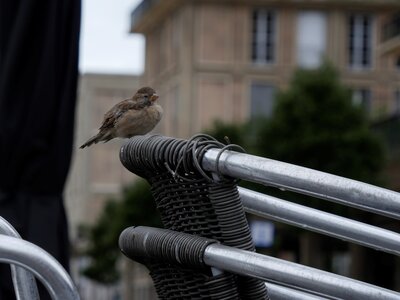 Le HAVRE JOUR 2, _1080197