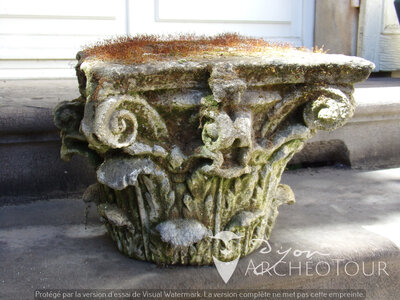 XVI Chapiteaux jardins de l'éveché, 100_1053