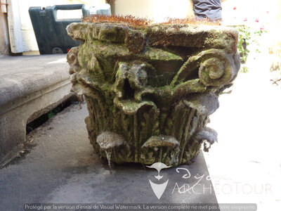 XVI Chapiteaux jardins de l'éveché, 100_1057