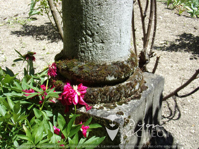 XVI Chapiteaux jardins de l'éveché, 100_1058