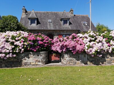 Les Veillées-chansons en Bretagne Finistère : LANDEVENNEC Juillet 2021 Album de Margarete, WhatsApp Image 2021-07-31 at 21.07.53