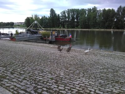 [21-03] CAACL45 - Rendez-vous du quai, un dimanche au bord de l'eau - Dimanche 1er août 2021,  21-03  CAACL45 - Rendez-vous du quai  un dimanche au bord de l’eau - Dimanche 1er août 2021_IMG_20210801_094404