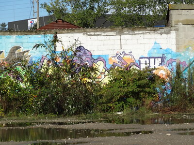 Street Art, secteur Port de pêche de Lorient, le 03/10/2021<br>@copyleft <a href=https://www.le-fab-lab.com>Le Fab'Blab</a> Licence Art Libre, port-de-lorient-street-art-46
