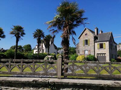 Les Veillées-chansons en Bretagne Finistère : LANDEVENNEC Juillet 2021 Album de Marie-Noëlle, 00281