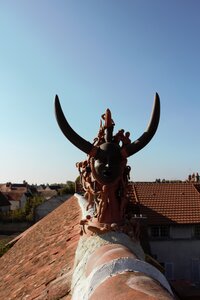 Sur le Toit !!, IMG_3884