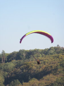 Val de Villé 10 octobre, IMG_1725