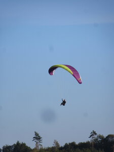 Val de Villé 10 octobre, IMG_1724