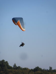 Val de Villé 10 octobre, IMG_1721