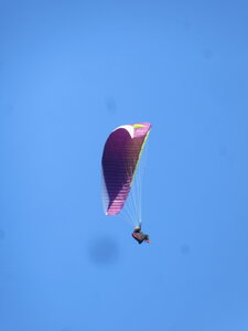 Val de Villé 10 octobre, IMG_1718