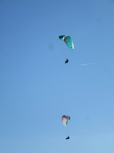 Val de Villé 10 octobre, IMG_1703