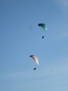 Val de Villé 10 octobre, IMG_1701