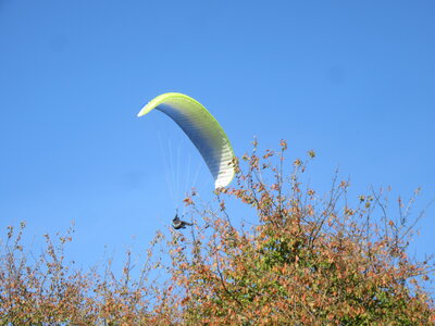 Val de Villé 10 octobre, IMG_1678