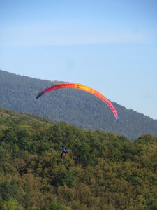 Val de Villé 10 octobre, IMG_1667