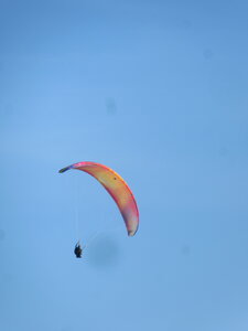 Val de Villé 10 octobre, IMG_1663