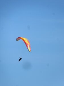 Val de Villé 10 octobre, IMG_1662