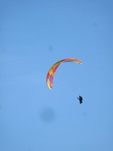 Val de Villé 10 octobre, IMG_1661