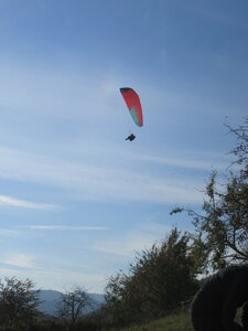 Val de Villé 10 octobre, IMG_1657