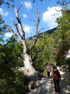2021 10 14 Gorges du Verdon, 2021_10_14 Gorges du Verdon 108